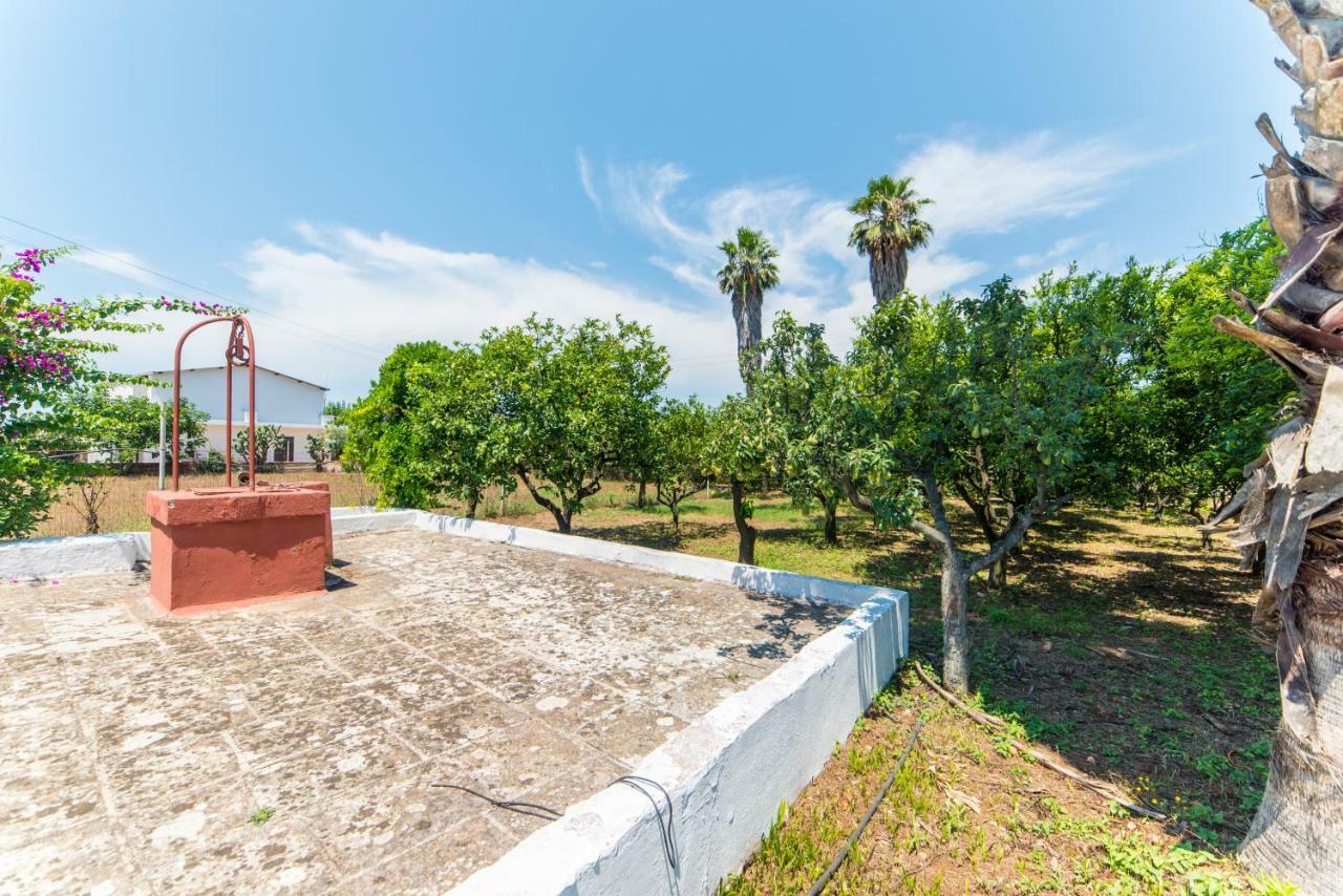 Villa Potenza Galatone Exterior foto